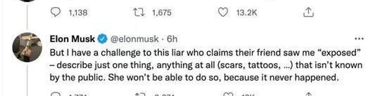 Tesla, Iron Man, Model S, FAW