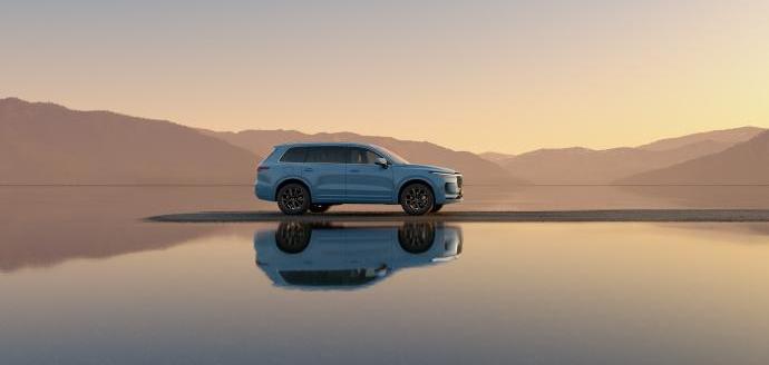 Tesla, Chang 'an, Haval, Great Wall, Wuling Automobile