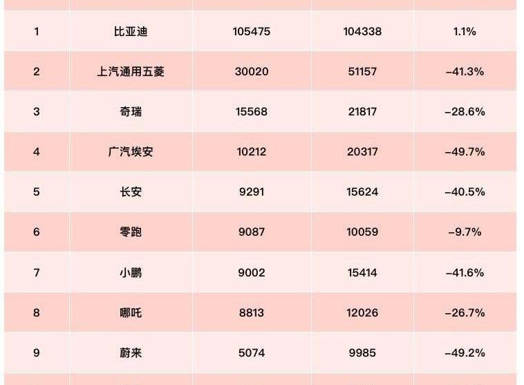 Tesla, BYD, Euler, Chery, Chang 'an