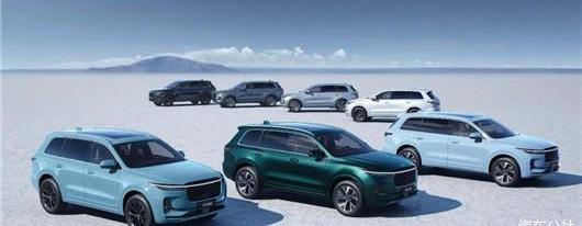 LI, Li ONE, Ideal L9, Weilai, BMW
