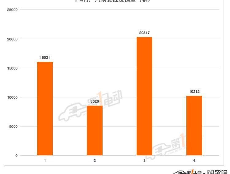 Tesla, BYD, Euler, Chery, Chang 'an