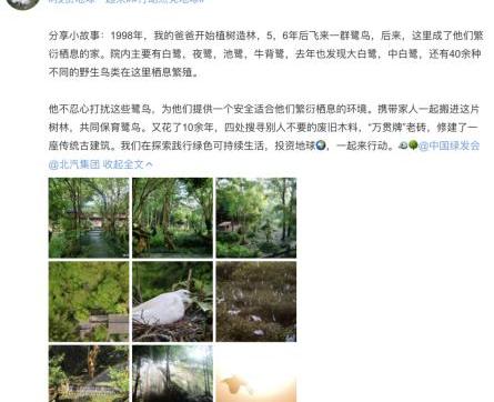Beijing, Idea, Volkswagen, Futian