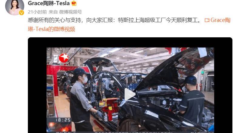 Tesla, Model 3,Model Y, Tucki, discovered