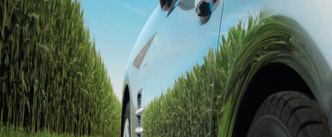 Chang 'an, Volkswagen, Dongfeng and Chery