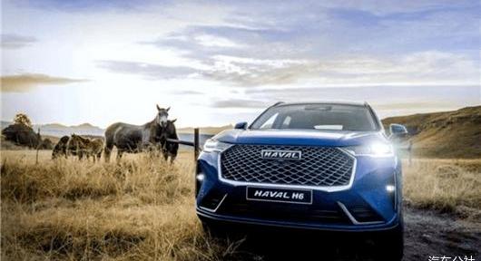 Great Wall, Tank, Haval, Euler, Haval H6