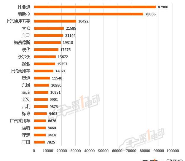 BYD, Tesla, Chery, Volkswagen, Euler
