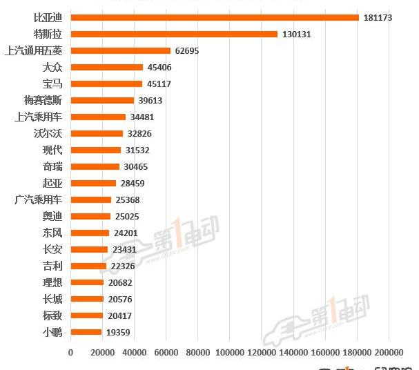 BYD, Tesla, Chery, Volkswagen, Euler