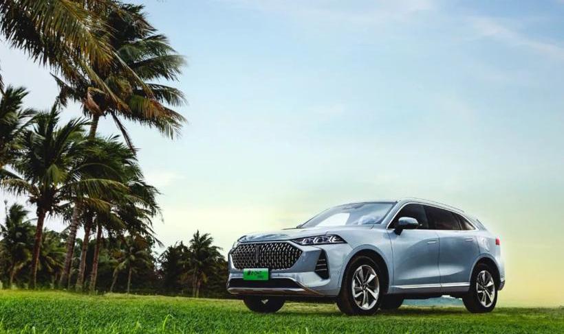 Great Wall, Haval, Tank, Haval H6, Gun