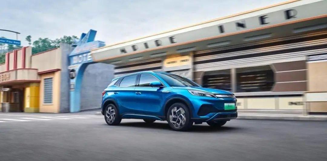 BYD, Great Wall, Euler, Haval, Haval Cool Dog