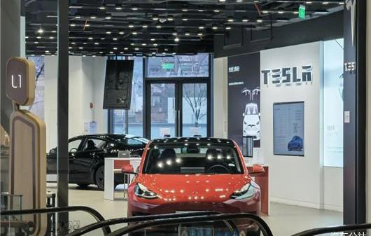 Tesla, Model 3, Beijing, Model Y, remote
