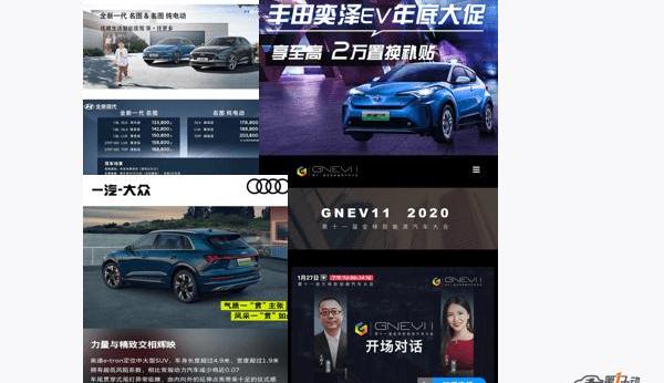 Audi, BYD, Toyota, Euler, Roewe