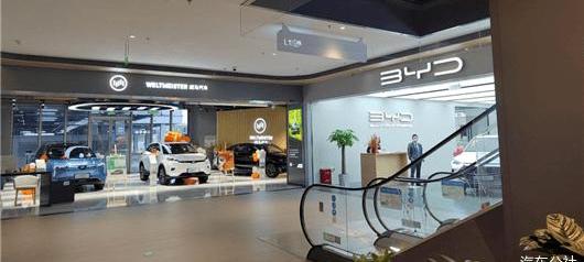 BYD, Tesla, Buick, Audi, Discovery