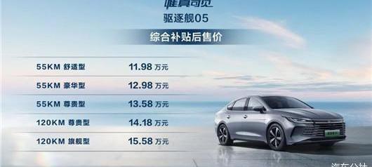 BYD, destroyer 05, Civic, Beijing, Dolphin