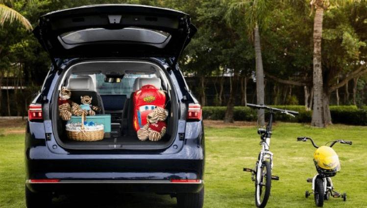 BYD, Jiaji, Chuanqi M6, Wuling Capgemini
