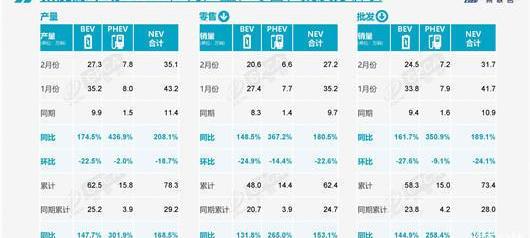 BYD, Weilai, Tesla, Volkswagen, Tucki