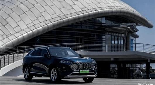 Great Wall, Haval, Euler, Tank, Wei Brand