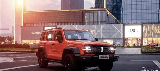 Great Wall, Haval, Euler, Tank, Wei Brand