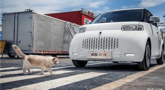 BYD, Euler, Great Wall, Volkswagen, Ai 'an