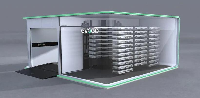 BYD, Volkswagen, Dafa, Geely Automobile, Great Wall