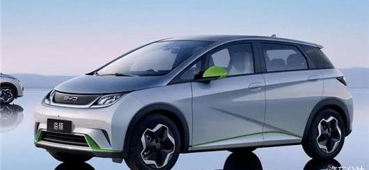 BYD, Tesla, MINI, Hongguang MINIEV, Great Wall