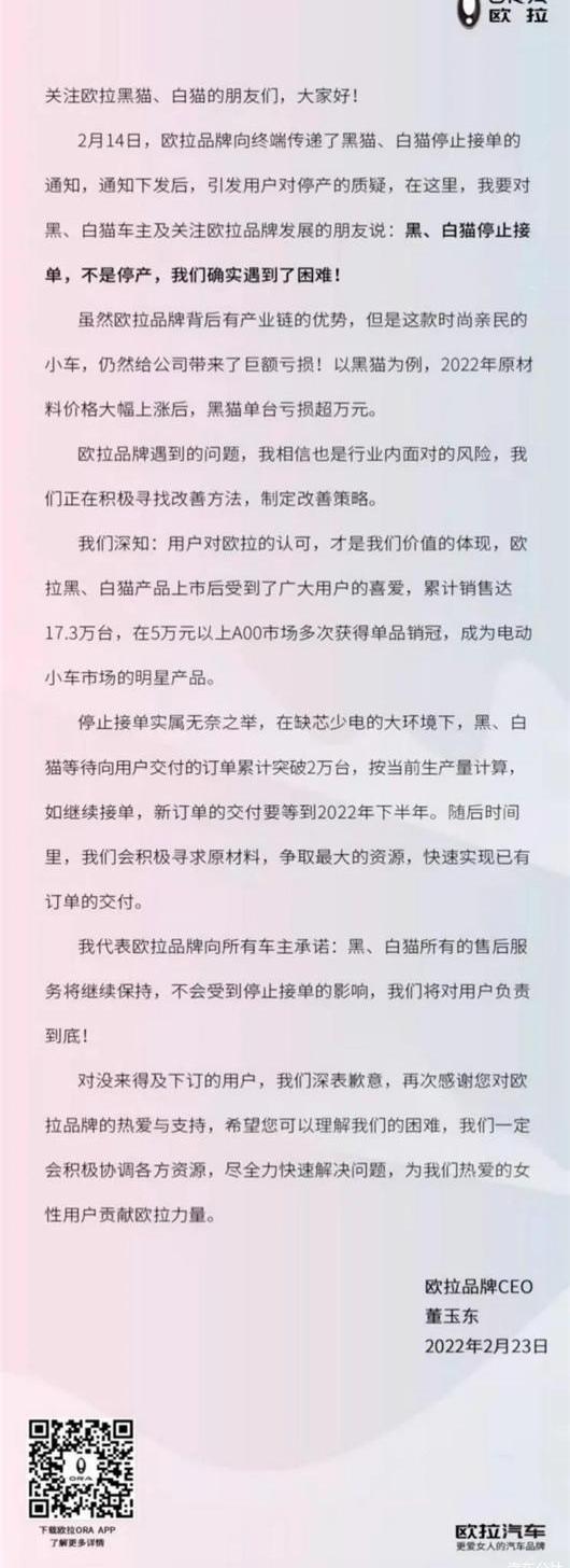 Euler, Euler Black Cat, Great Wall, MINI, BYD