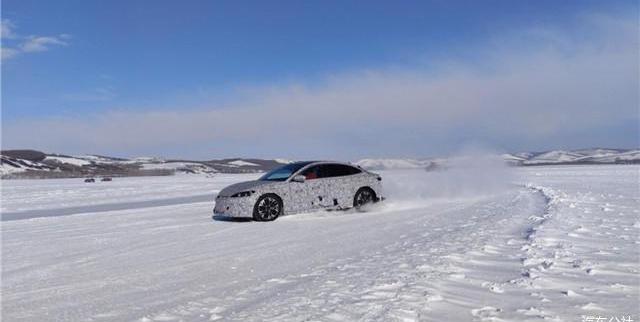 BYD, Yufeng, Han, seal and dolphin