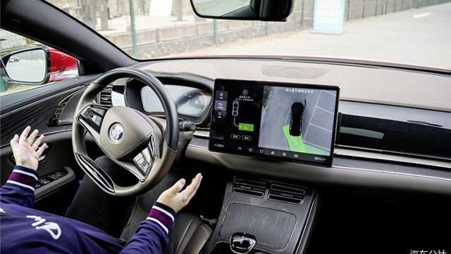 BYD, Yufeng, Han, seal and dolphin