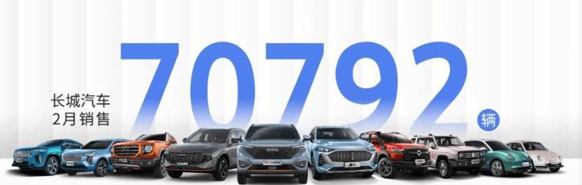 Great Wall, Haval, Tank, Euler, Euler's Good Cat