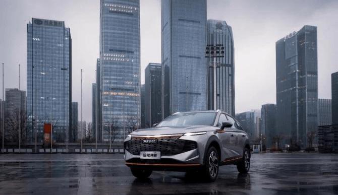 Great Wall, Haval, Tank, Euler, Euler's Good Cat