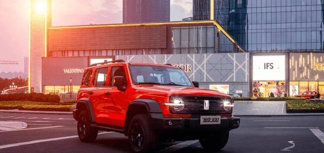 Great Wall, Haval, Tank, Euler, Euler's Good Cat