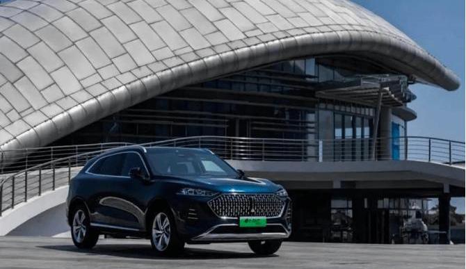 Great Wall, Haval, Tank, Euler, Euler's Good Cat