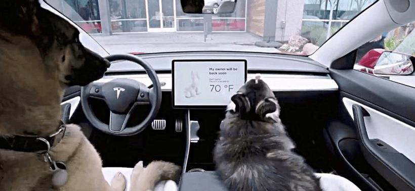 Tesla, Discovery, Great Wall, Toyota, Roewe