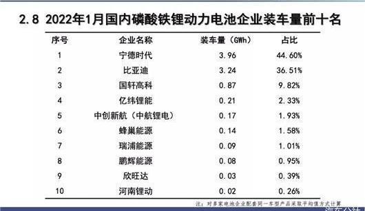BYD, Tesla
