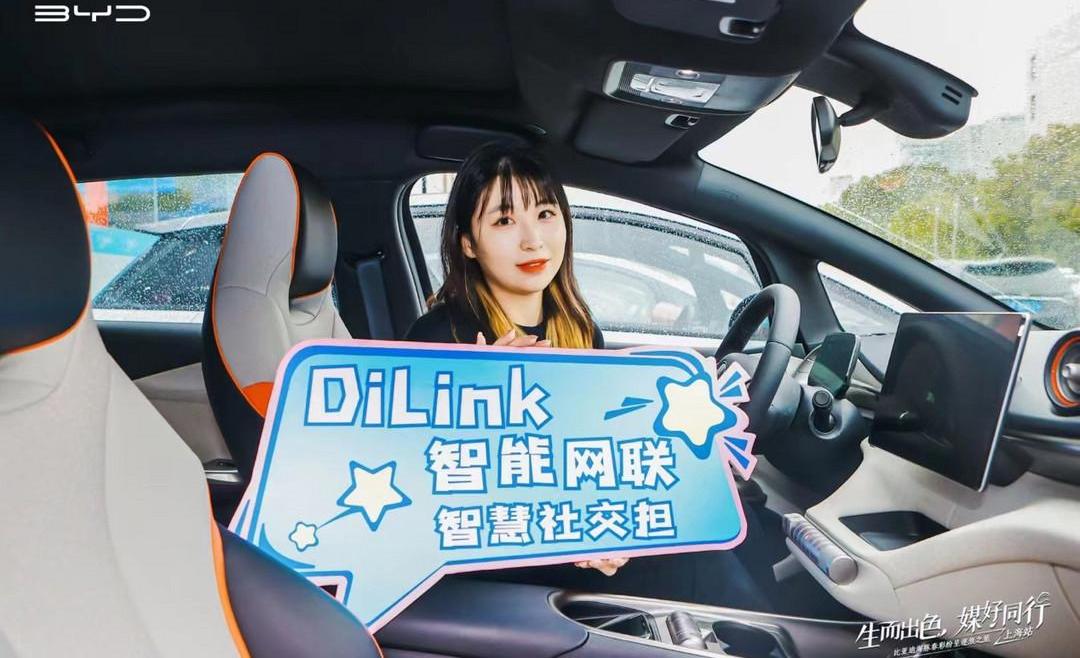 Dolphin, BYD