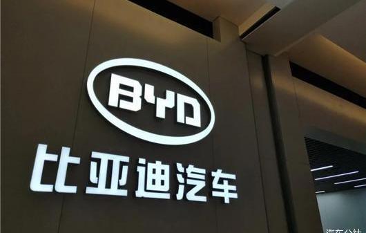 BYD, MINI, Hongguang MINIEV, Tesla, Li ONE