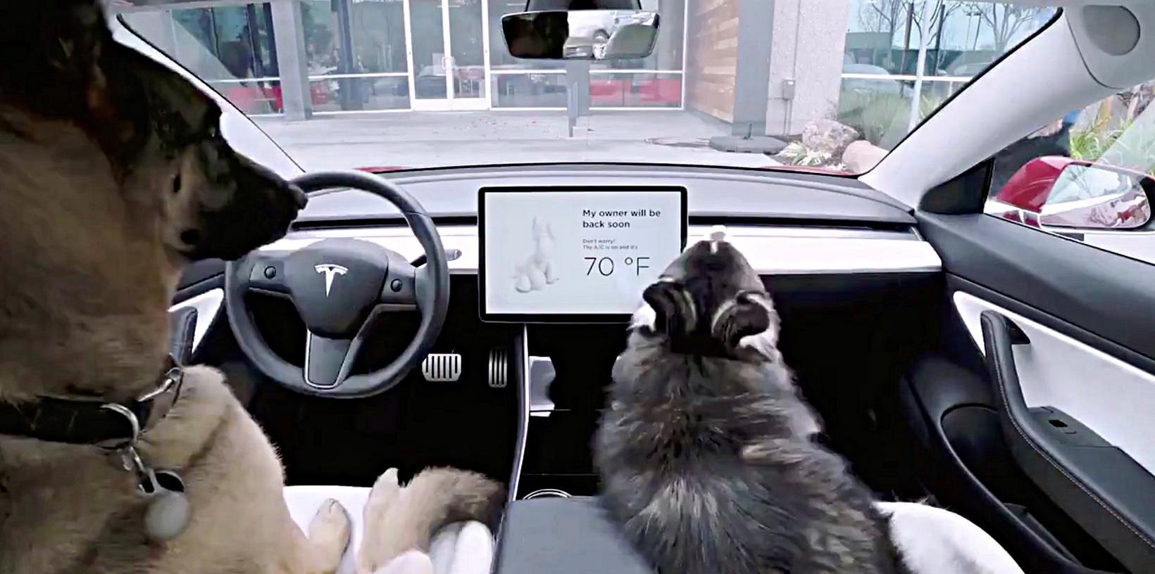 Ford, Tesla, Model X, remote