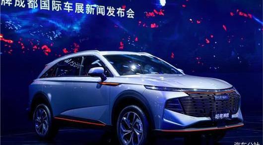 Great Wall, Haval, Euler, Tank, Wei Brand