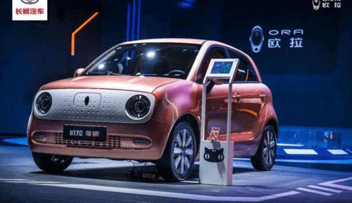 Euler, Skoda, Tesla, Volkswagen, Janice