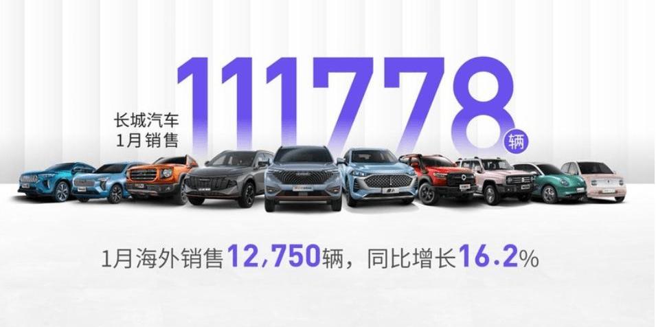 Great Wall, Haval, Euler, guns, tanks