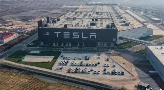 Tesla, Model 3,Model Y, found