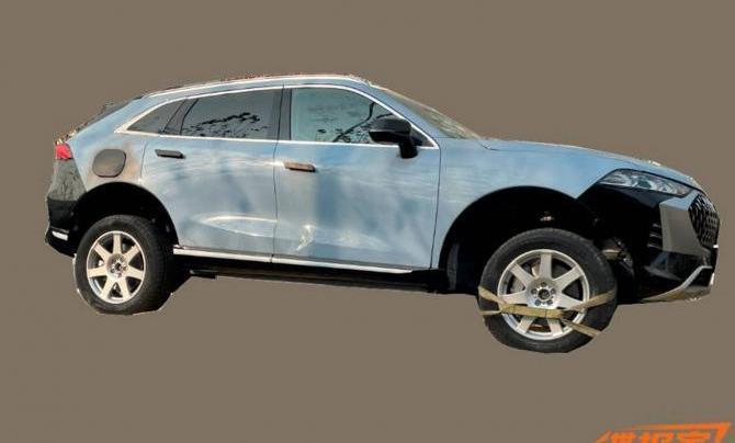 Great Wall, Chang 'an, Euler, Ruilan Automobile, Mocha