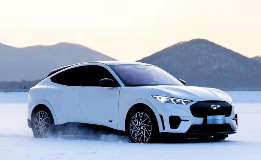 Tesla, YOUNG Guang Xiaoxin, Ford, Mustang, Nezha U