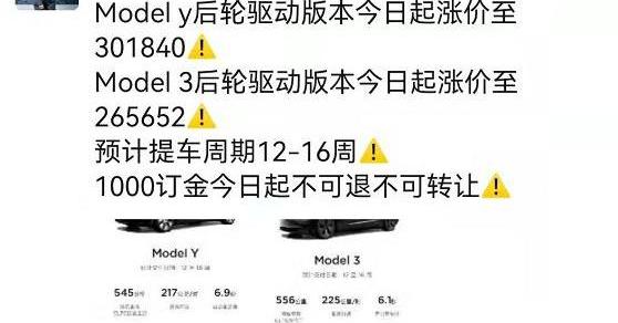Tesla, YOUNG Guang Xiaoxin, Ford, Mustang, Nezha U