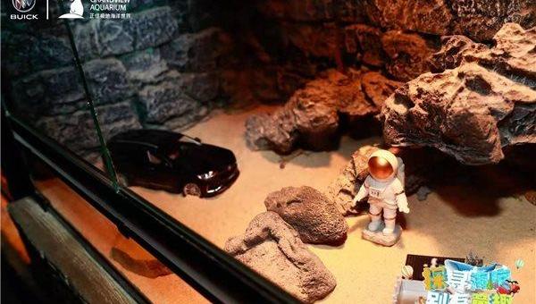 Buick, Angkor, Weilang, Seal, concept