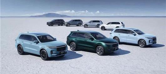 Li ONE, Tucki, Weilai, Volkswagen, discovered