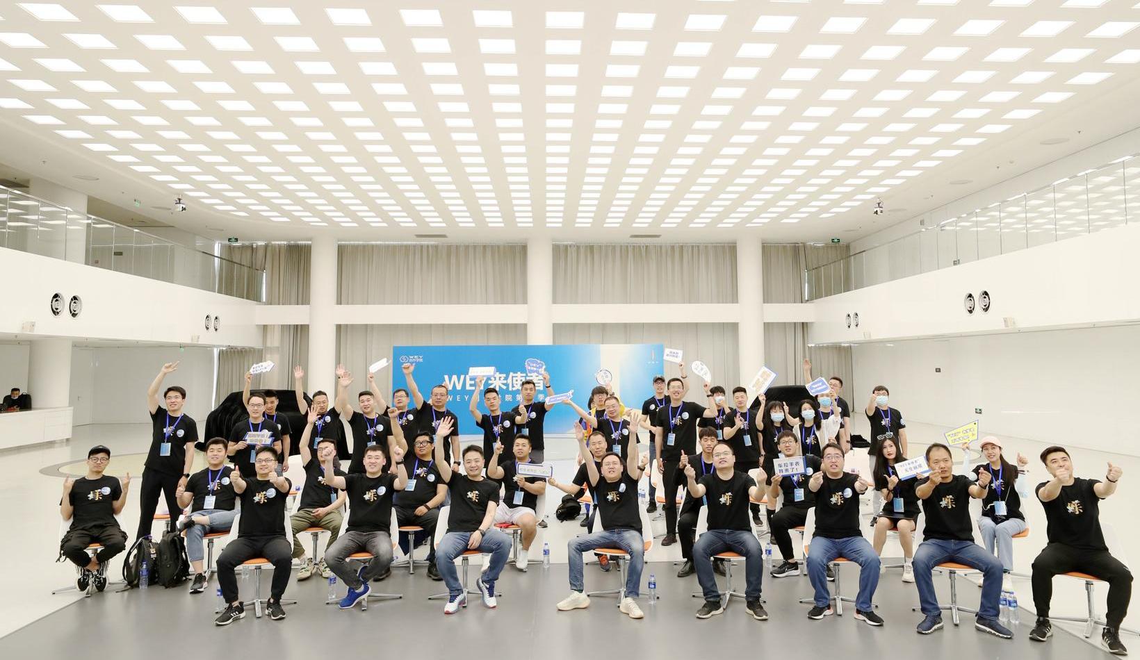 Wei brand, concept, Great Wall, remote