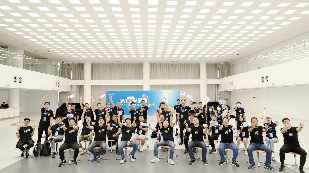 Wei brand, concept, Great Wall, remote