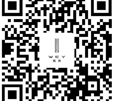 Wei brand, concept, Great Wall, remote