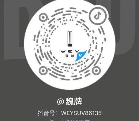 Wei brand, concept, Great Wall, remote