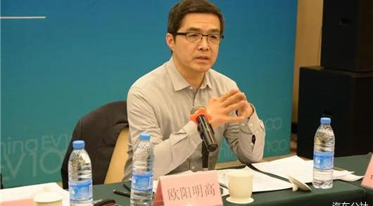 Tesla, Great Wall, BYD, Volkswagen, Weilai